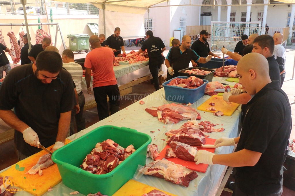 ada7y forthei (12).JPG